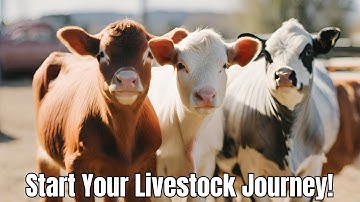 Livestock 101: Best and Worst Choices for Beginners