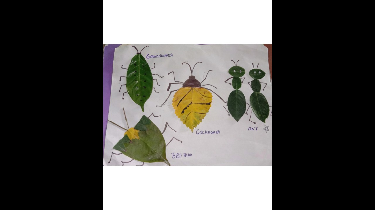 Insects made from leaves...ππ #activities #plantdevelopment #insects ...