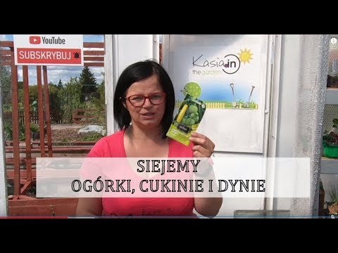 Wideo: Co Sadzić Po Ogórkach I Cukinii Na Następny Rok Iz Czym łączyć Sadzenie