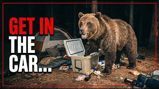 The 8 Most Dangerous Animals That Hunt Humans in America!