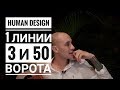 Дизайн Человека 3 и 50 ворота. 1 линии Даниил Трофимов. Human Design