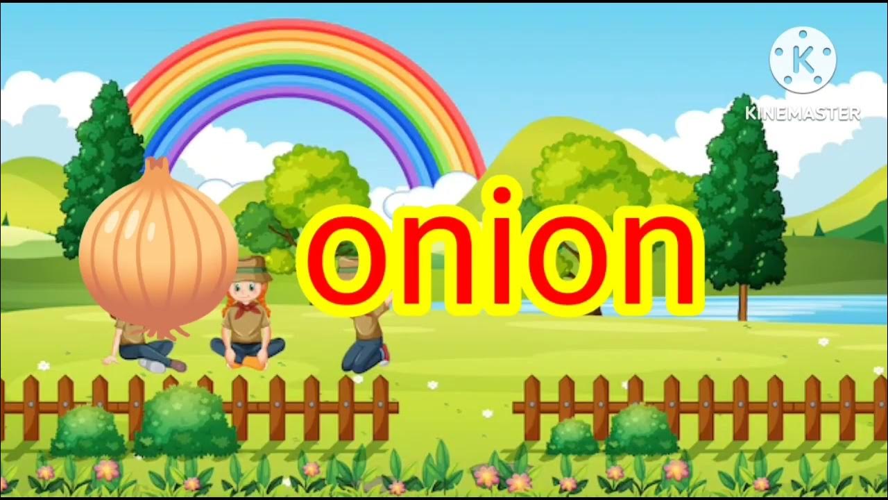 words-that-start-with-o-with-live-examples-letter-o-words-for-kids