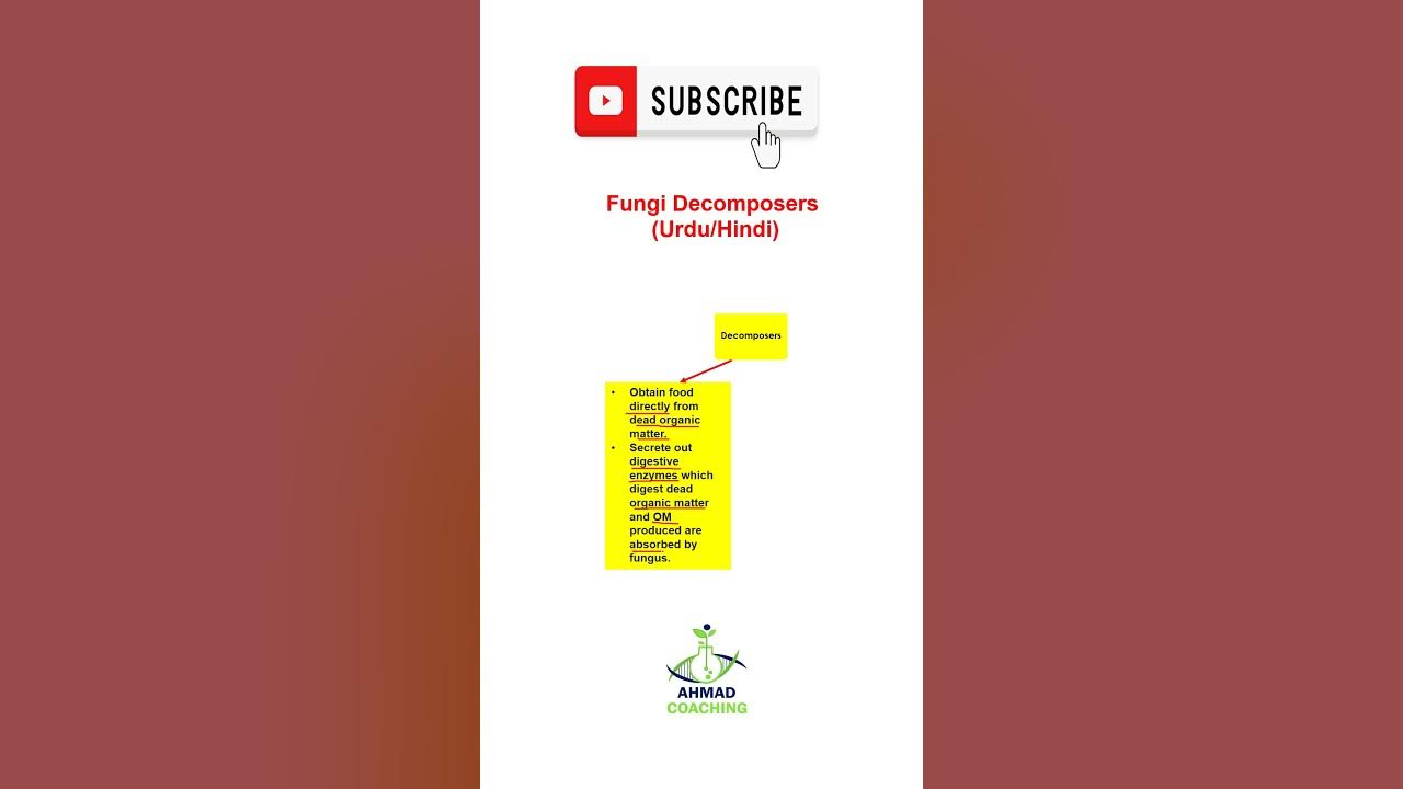 Fungi in Urdu/Hindi Short Video YouTube