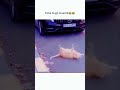 #foryou  #fyp #pov #youtube #funny #popular  #storytime  #manicure #nails #fypシ#shorts #shortvideo