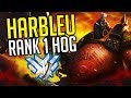 BEST OF "HARBLEU" RANK 1 TANK IN THE WORLD - Overwatch Harlbeu Montage & History