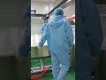 Laminated glass production #glassprocessing #glassmachine