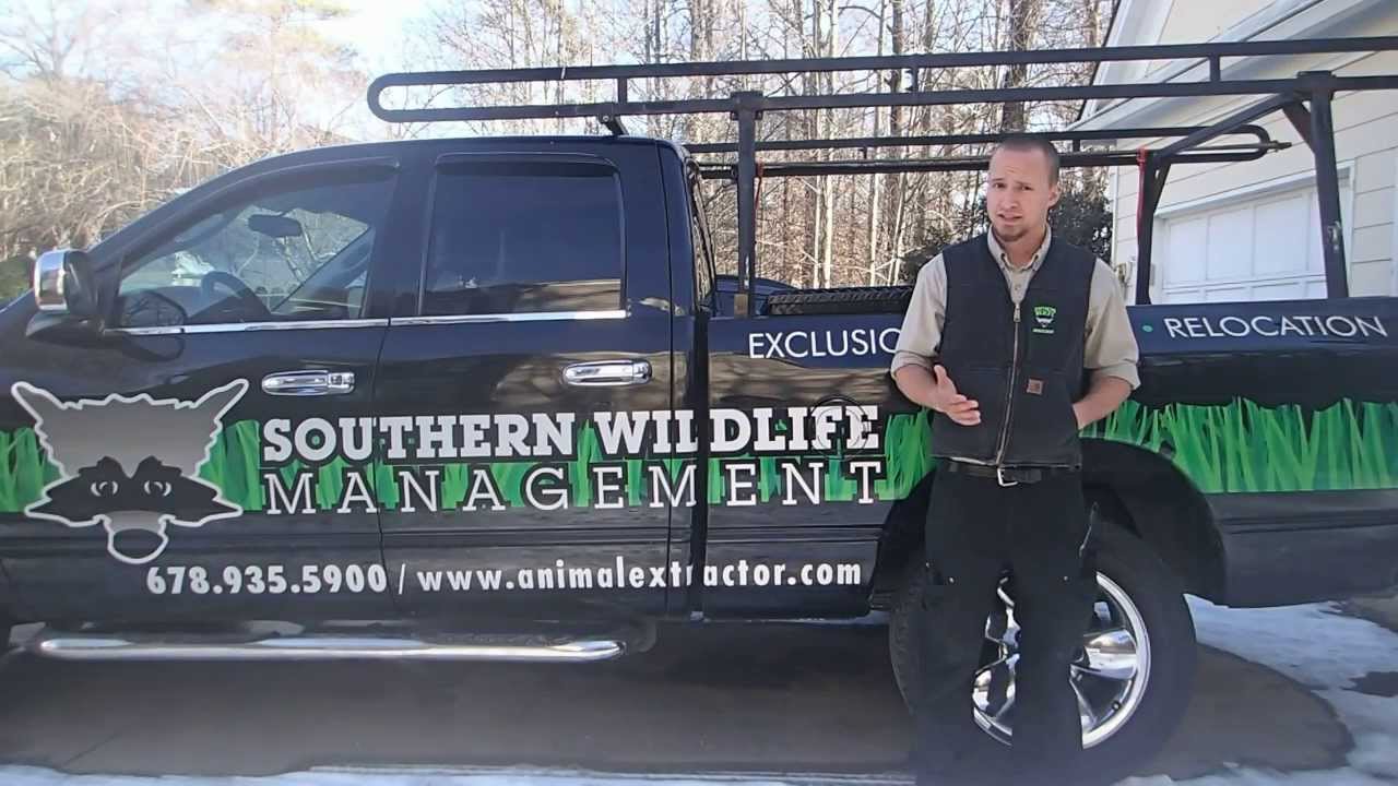 removal of fallopian tube Considerations when Squirrel Trapping - Johns Creek - Alpharetta - Duluth - Cumming