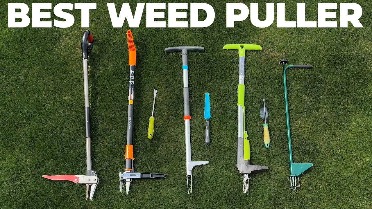 BEST Weed Pulling Tool Comparison 