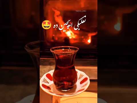 فقط چای تبریز تورک چای