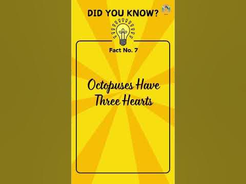 Did you know? Fun Facts#7 Did you know facts? - YouTube