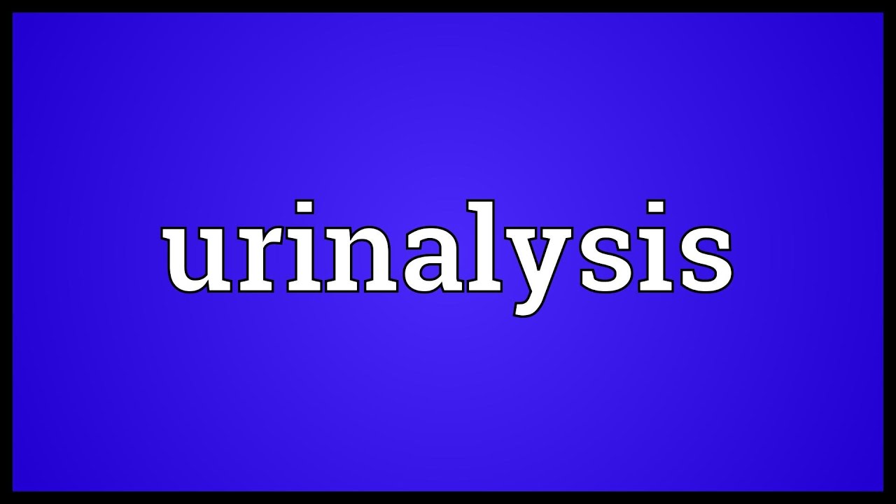 Urinalysis Meaning YouTube