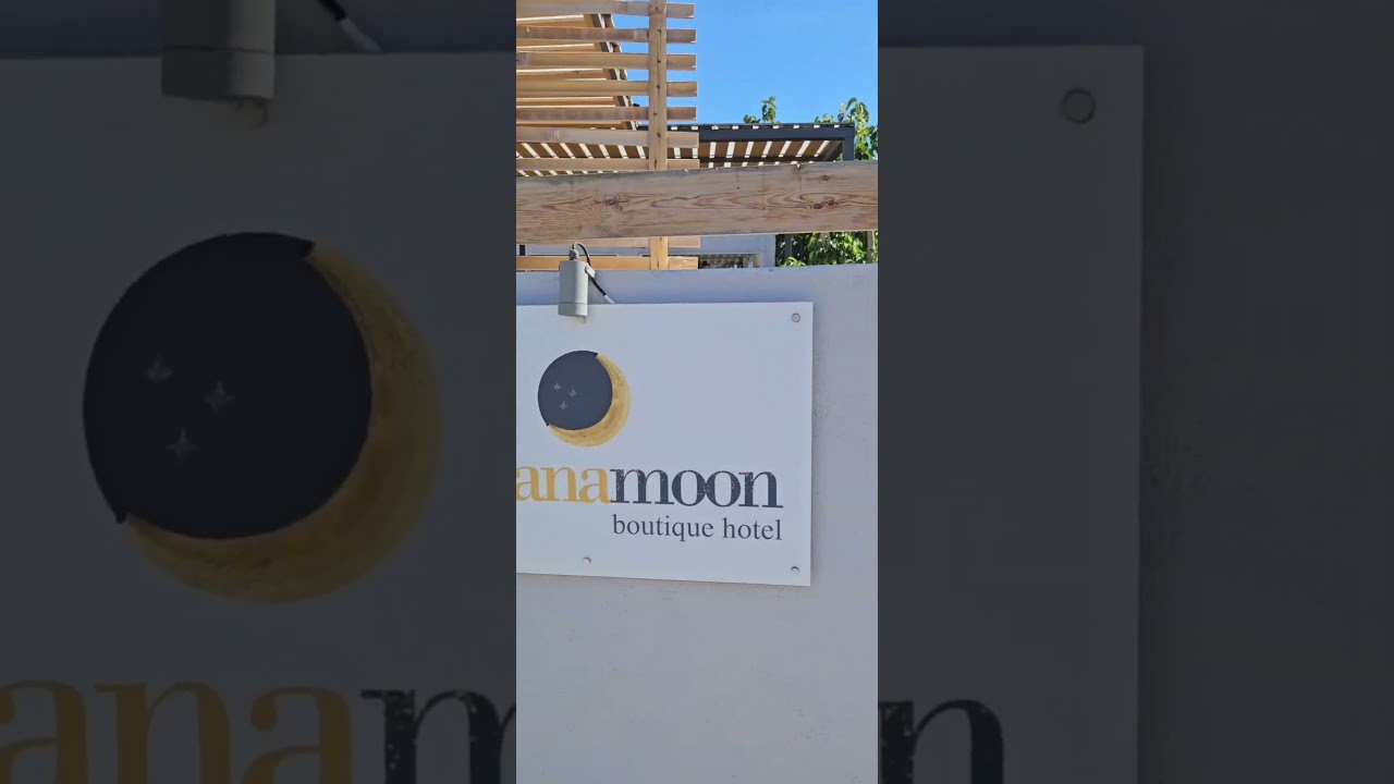 Banana moon,  Крит. Огляд основного корпусу