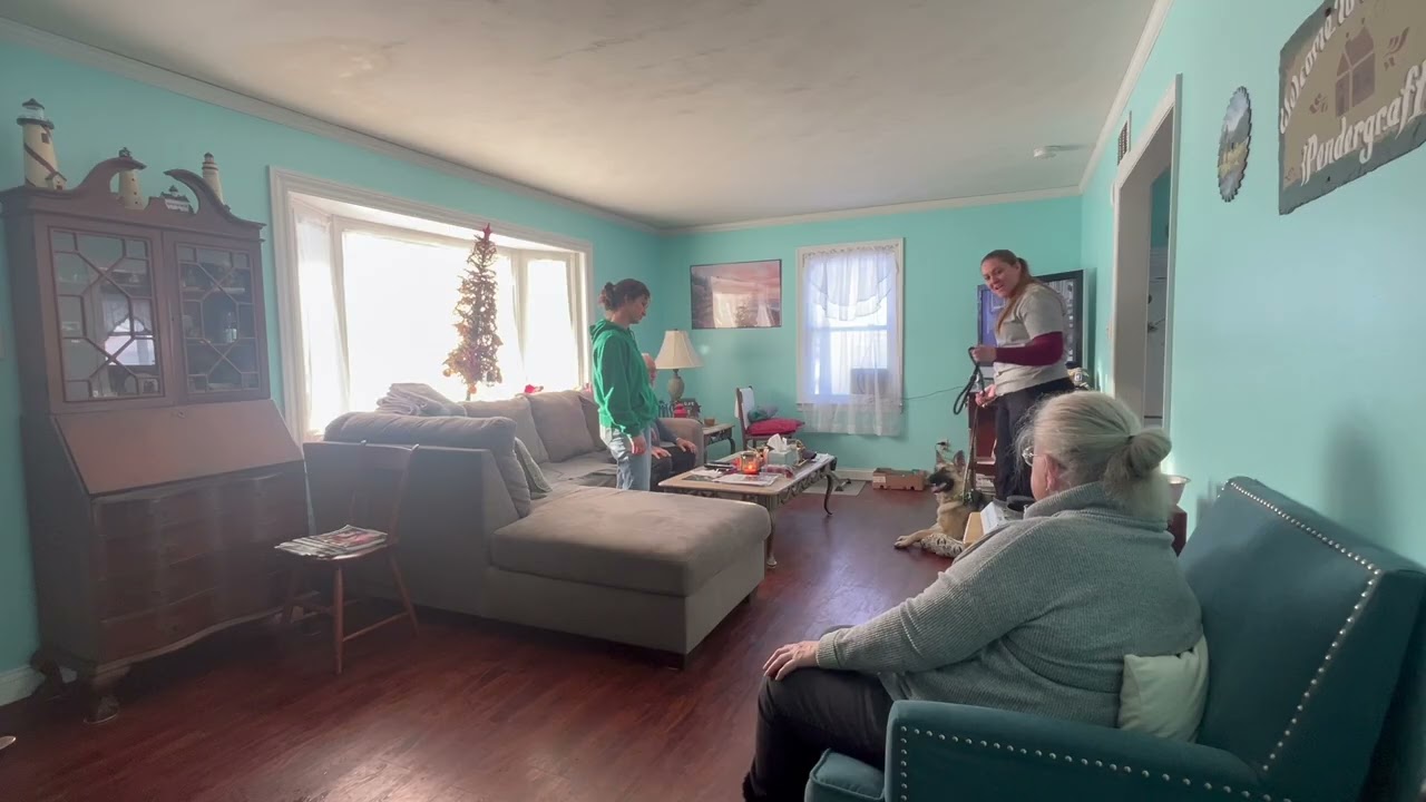 Introducing A Reactive and Fearful Dog To Guests - Full Lesson W/ Sassy