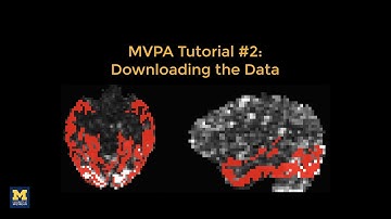 MVPA Tutorial #2: Downloading the Haxby Dataset