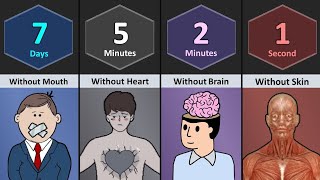 How Long Human  Can Survive Without Organs !