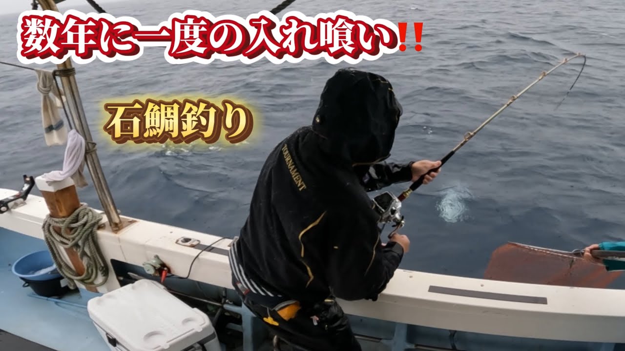 数年に一度の入れ喰い‼️（石鯛釣り）