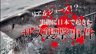 日本で起こってしまったサメによる被害を解説【人喰いザメ】【巨大ザメ】【シャークアタック】