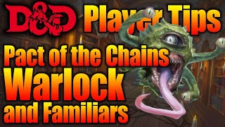 Pact of the Chains Warlock and Familiars in Your Dungeons and Dragons Game  D&D Player Tips