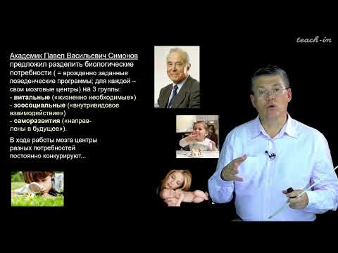 Дубынин В. А. - 100 часов школьной биологии - 1.25. Потребности и эмоции