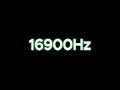 16900Hz / 16.9KHz Tone Test: Speaker &amp; Headphone Frequency Response Test