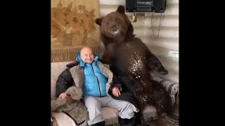 Download Lagu He had a grizzly bear in his living room MP3