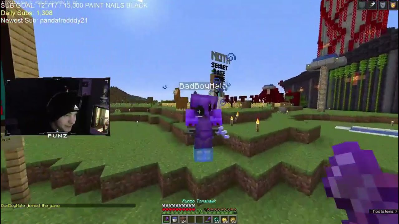 Puffy and Bad try to KILL Punz 2v1 (Dream SMP)