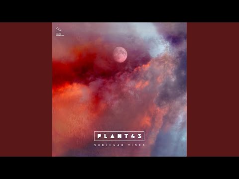 Plant43 — Concrete Breakers