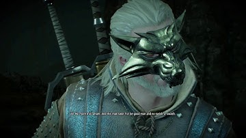 The Witcher 3: Wild Hunt – Wham Troll Dilemma