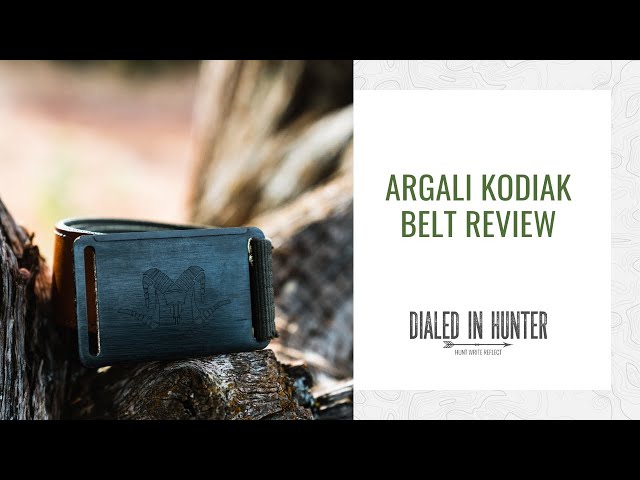 Argali Kodiak Belt Sage / Large