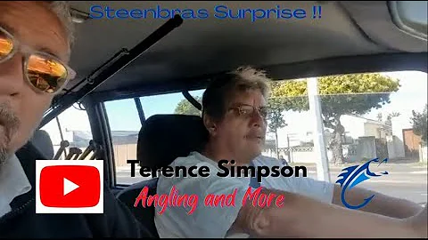 False Bay Steenbras Surprise