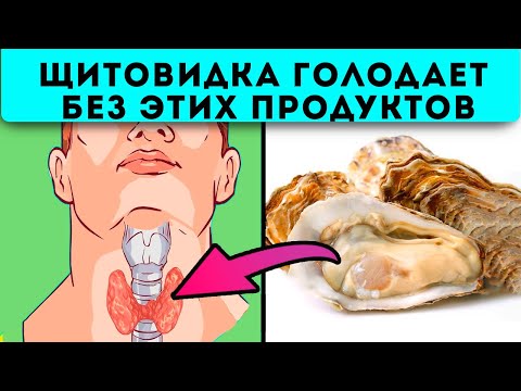 Такую еду щитовидка любит! 13 продуктов, которые сделают щитовидку здоровее