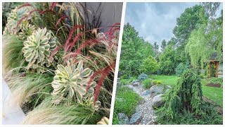 75 Partial Sun And Shade Landscaping Design Ideas You'll Love 😊