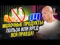 Молоко не полезно? Дмитрий Яковина о пользе молочки, непереносимости лактозы и твороге