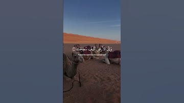 ﴿أَفَلَا يَنظُرُونَ إِلَى الْإِبِلِ كَيْفَ خُلِقَتْ﴾ سورة الغاشية #قرآن #quran