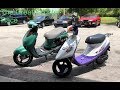 The Great Scooter Race