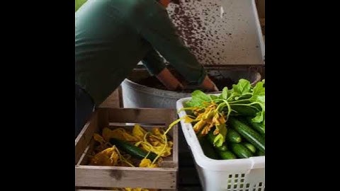 PixVerse V5 Image Text 360P video generationge 2