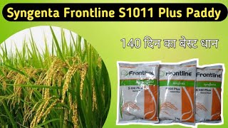 Syngenta Paddy Seed 1011 || Syngenta Paddy Variety || 140 -145 din ka dhan