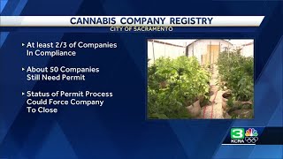 Dozens of cannabis businesses in Sacramento could close as permit deadline looms