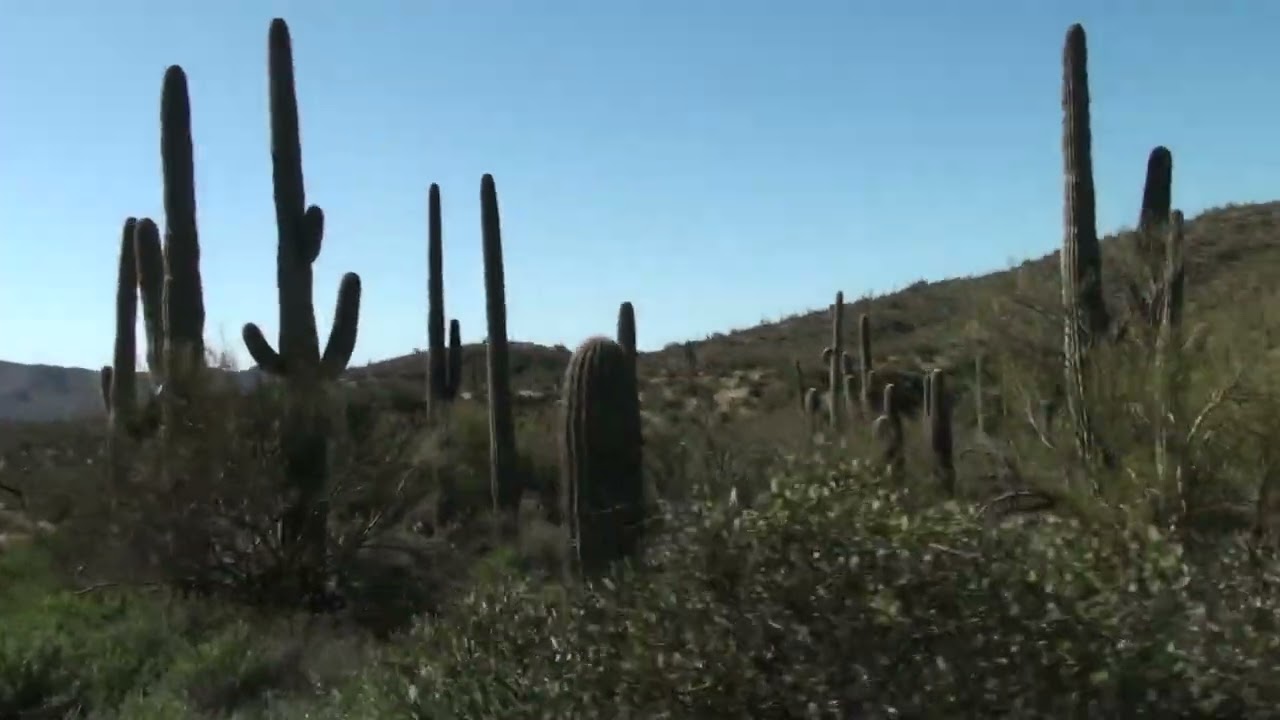 Walnut Canyon 1 28 2020
