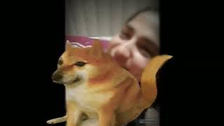 Yaar Tissue Lelo yrr | यार टिशू लेलो यार Pagal Tissue lelo | पागल टिशू लेलो Viral Video on Internet