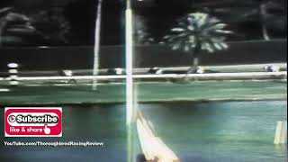 1957 FL DERBY Bold Ruler vs General Duke