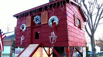 How to Save a Treehouse from a Zoning Board