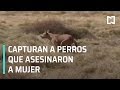 Capturan a perros que asesinaron a mujer en Tecámac - Las Noticias