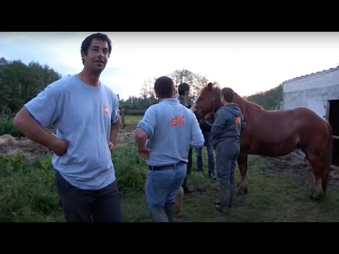 Vidéo: Préparation à la tempête pour les propriétaires de chevaux