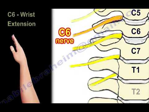 Cervical Spine Myelopathy