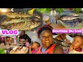 Poisson Braisé à la Poêle Dans notre nouvelle cuisine VLOG| Notre 1ère Routine du Soir !
