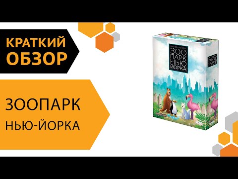 Зоопарк Нью-Йорка — Краткий обзор настольной игры 🦩🦘🐘
