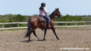 Thirdcuttingscdroyal - taking care of beginner working the flag! - ValleyViewRanch.net