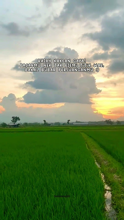 Kata-Kata berkelas penuh makna sindiran halus. #shorts #quotes #ytshorts #story #tiktok #tiktokvideo