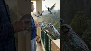 🤯This is how the morning birds 🪶 looks like in future. #insane #funny #future